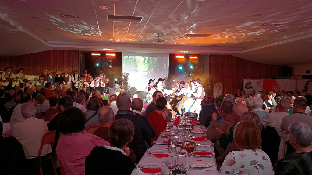 Le dîner spectacle : une très belle soirée !